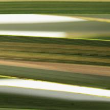 highres blades opacity i